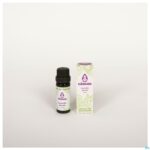 Productshot Sjankara Lavandin Abrialis Ess. Olie Bio 11ml