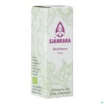 Packshot Sjankara Ravintsara Ess. Olie Bio 11ml