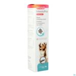 Packshot Beaphar Intesto Pro Pasta Hond >15kg 2x20ml