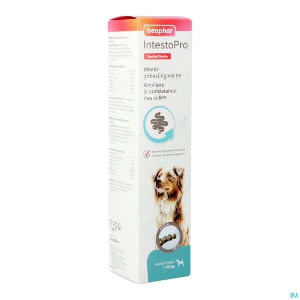 Packshot Beaphar Intesto Pro Pasta Hond >15kg 2x20ml Packshot Beaphar Intesto Pro Pasta Hond >15kg 2x20ml