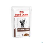 Productshot Royal Canin Cat Gastrointestinal Wet 12x85g