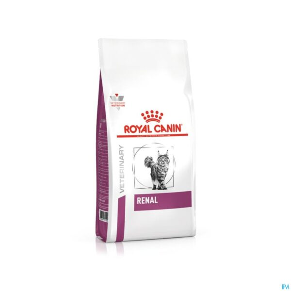 Packshot Royal Canin Cat Renal Dry 4kg