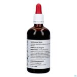 Packshot Ribes Nigrum Druppels 100ml Pharmanutrics