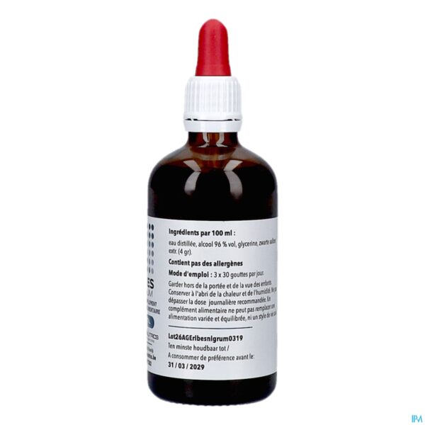 Packshot Ribes Nigrum Druppels 100ml Pharmanutrics
