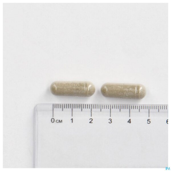 Pillshot Cogniton Plus Energy La Caps 90