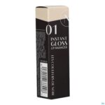 Packshot Couleurs De Noir Instant Gloss Lip Max.01 Light C.