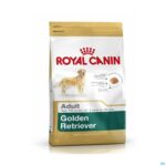 Productshot Royal Canin Dog Golden Retriever Adult Dry 12kg