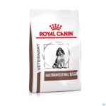 Packshot Royal Canin Dog Puppy Gastrointestinal Dry 2,5kg
