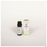 Productshot Sjankara Lavandin Grosso Ess. Olie Bio 11ml