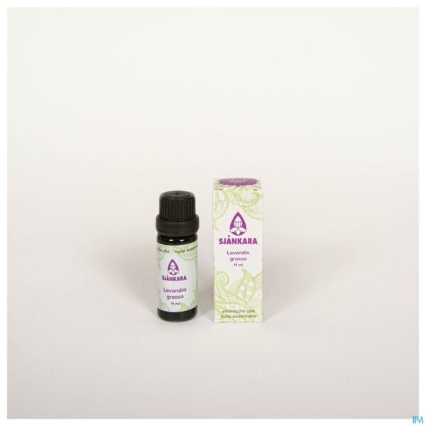 Productshot Sjankara Lavandin Grosso Ess. Olie Bio 11ml
