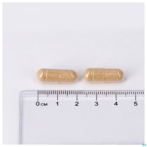 Pillshot Zenivits Caps 60 Lepivits