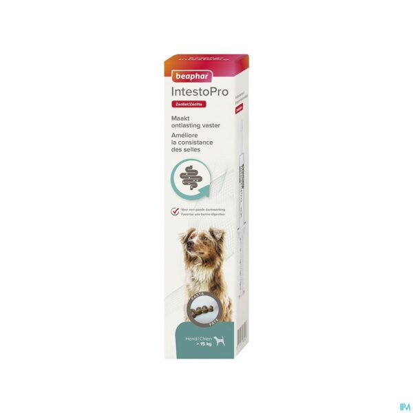 Packshot Beaphar Intesto Pro Pasta Hond >15kg 2x20ml