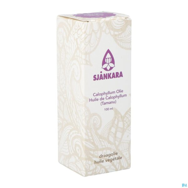 Packshot Sjankara Calophyllum Plant. Olie Bio 100ml Packshot Sjankara Calophyllum Plant. Olie Bio 100ml