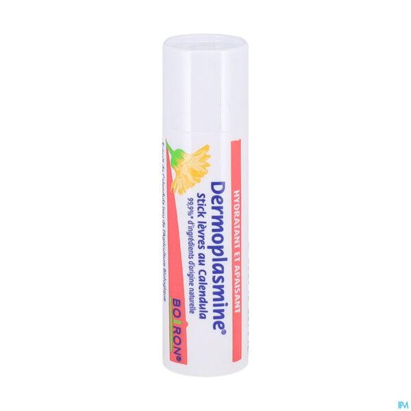 Packshot Dermoplasmine Calendula Lipstick 4g
