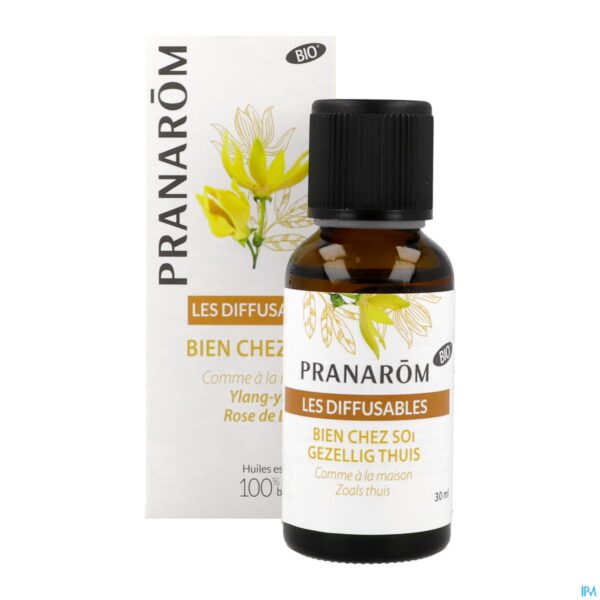 Productshot Pranarom Les Diffusables Bio Gezellig Thuis 30ml