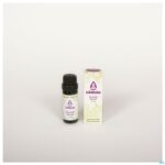 Lifestyle_image Sjankara Niaouli Synergie 11ml