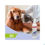 Lifestyle_image Beaphar Bio Anti-klit Spray Hond & Kat 200ml