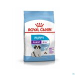 Packshot Royal Canin Dog Puppy Giant Dry 15kg