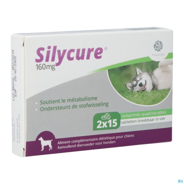 Packshot Silycure 160mg Comp 2x15
