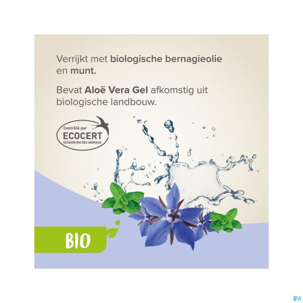 Lifestyle_image Beaphar Bio Anti-klit Spray Hond & Kat 200ml