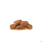 Productshot Royal Canin Cat Mature Consult Wet 12x85g