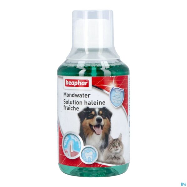 Packshot Beaphar Mondwater 250ml