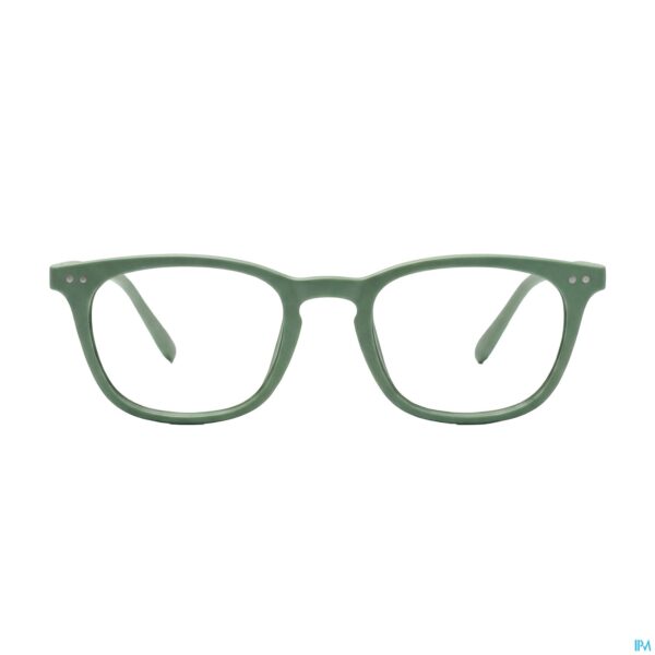 Productshot RenÉ(e) Bril Re-z05 Monstera Leaf Green +2,5