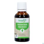 Productshot Herbalgem Frambozenstruik Bio 30ml