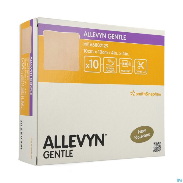 Packshot Allevyn Gentle Kp Foam 10cm X 10cm 10 66802129