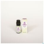 Productshot Sjankara Sherazade Synergie 11ml