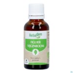 Productshot Herbalgem Vijgenboom Bio 30ml