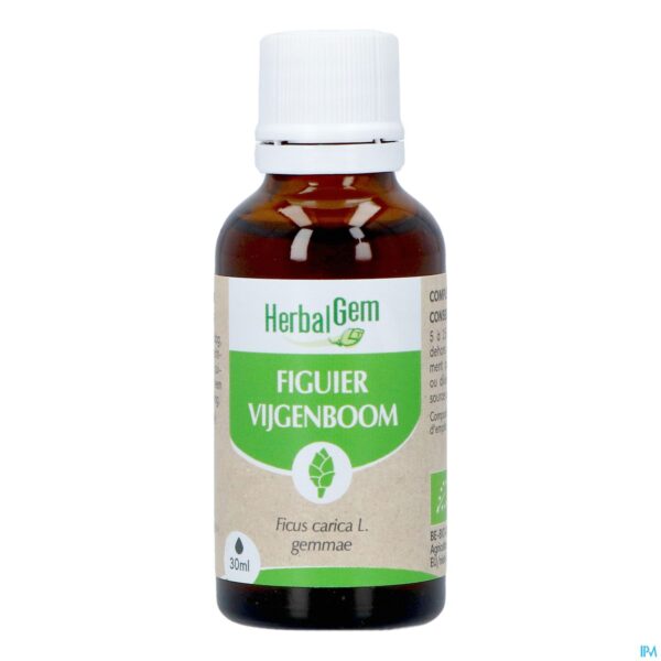 Productshot Herbalgem Vijgenboom Bio 30ml
