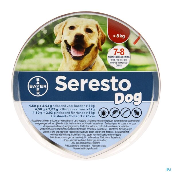Packshot Seresto Dog 4,5g + 2,03 Halsband >8kg Packshot Seresto Dog 4,5g + 2,03 Halsband >8kg