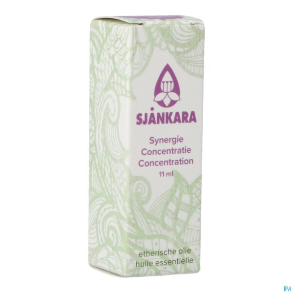 Packshot Sjankara Concentratie Synergie 11ml