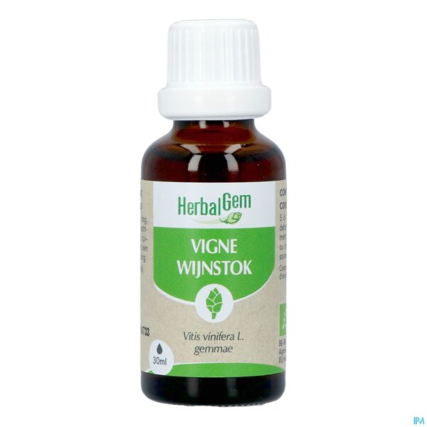 Productshot Herbalgem Wijnstok Maceraat Bio 30ml