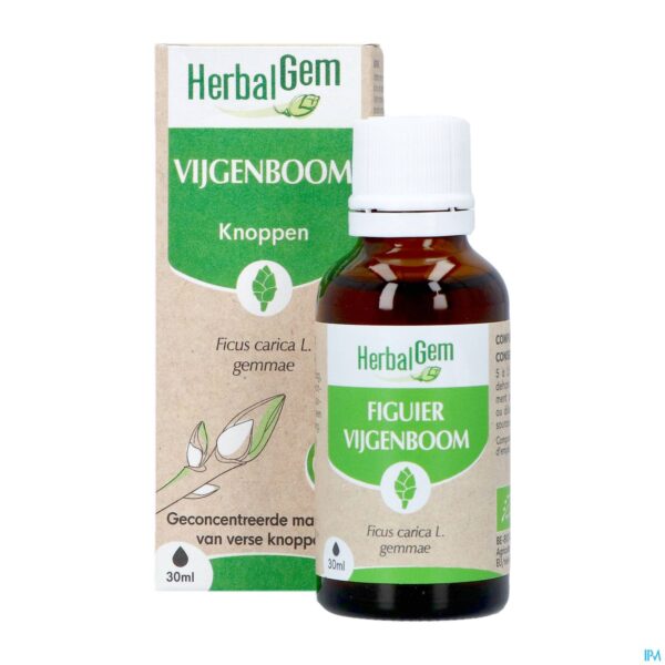 Productshot Herbalgem Vijgenboom Bio 30ml