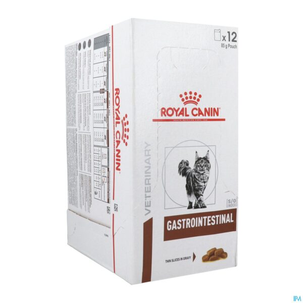 Packshot Royal Canin Cat Gastrointestinal Wet 12x85g