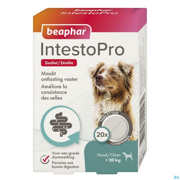 Packshot Beaphar Intesto Pro Hond M/l Tabl 20