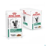 Productshot Royal Canin Cat Satiety Wet 12x85g