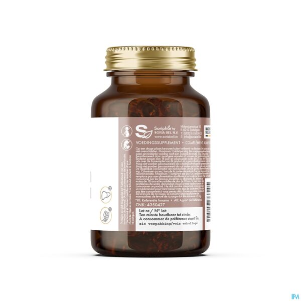 Packshot SORIA CYNASTAN 60 CAPS