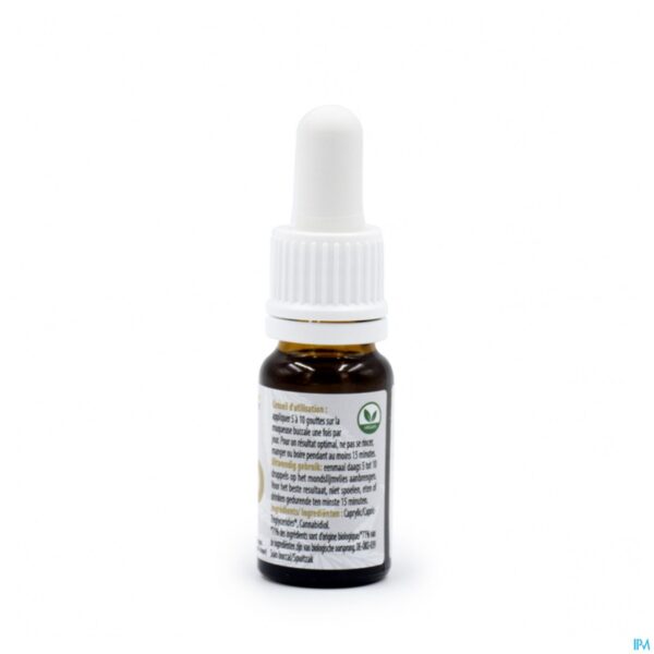 Productshot Cbd 25% Kokosnoot Mct 10ml
