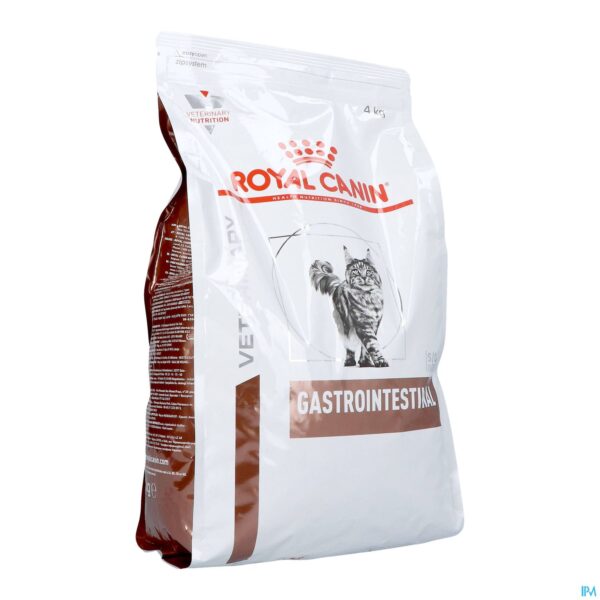 Packshot Royal Canin Cat Gastrointestinal Dry 4kg Packshot Royal Canin Cat Gastrointestinal Dry 4kg