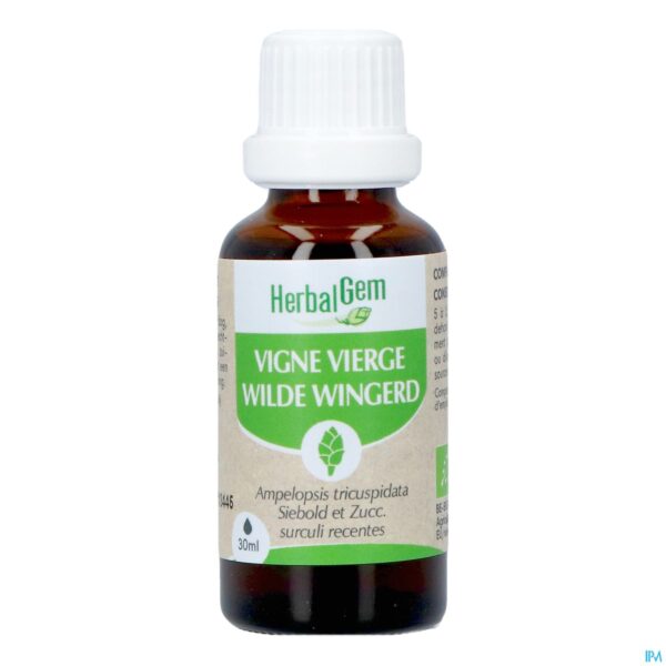 Productshot Herbalgem Wilde Wingerd Bio 30ml