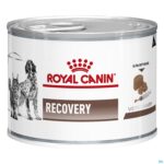 Productshot Royal Canin Cat/dog Recovery Wet 12x195g
