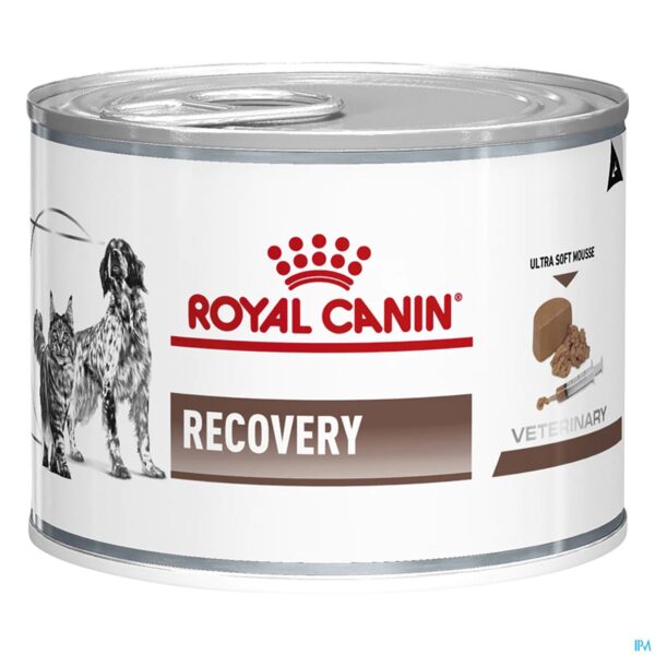Productshot Royal Canin Cat/dog Recovery Wet 12x195g
