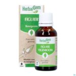 Productshot Herbalgem Vijgenboom Bio 30ml