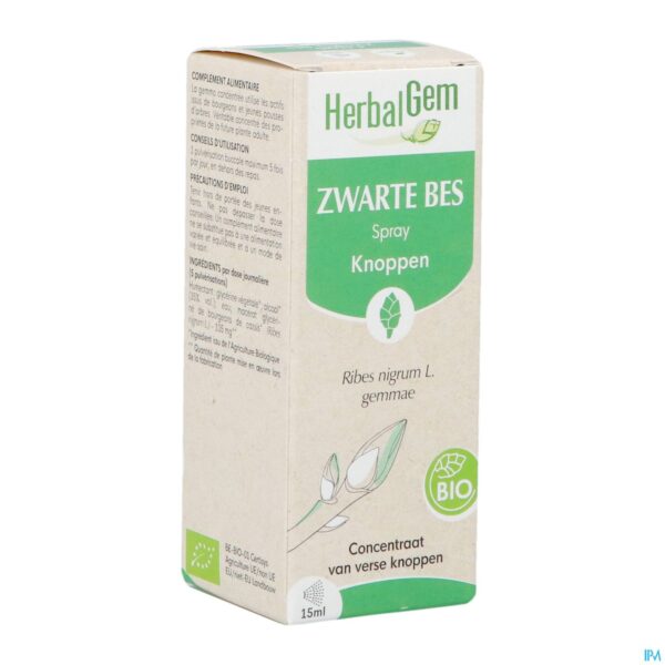 Packshot Herbalgem Zwarte Bes Bio Spray 15ml