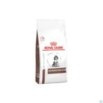 Packshot Royal Canin Dog Puppy Gastrointestinal Dry 10kg