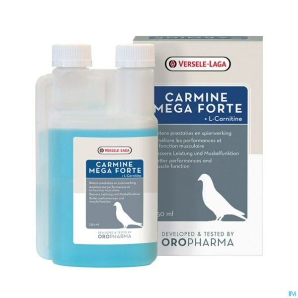 Productshot Carmine Mega Forte Fl 250ml