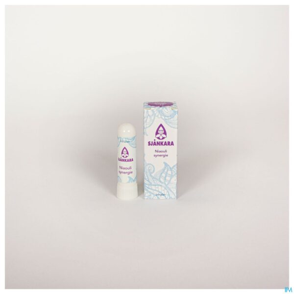 Lifestyle_image Sjankara Niaouli Synergie Inhaler 2g